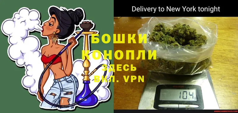 Бошки марихуана Ganja  Балтийск 